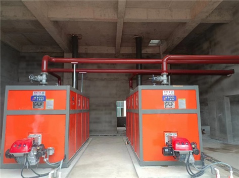 江西南豐縣人民醫院真空冷凝鍋爐